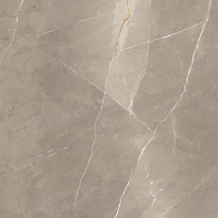 Superb Marble Pietra Taupe Porcelain Tile tile face, 1200 x 1200 mm