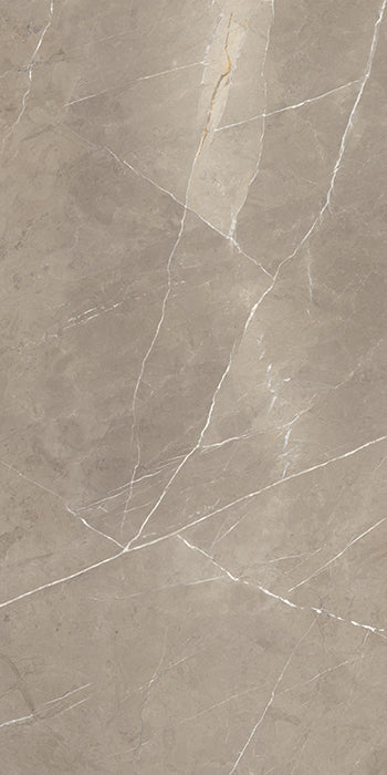 Superb Marble Pietra Taupe Porcelain Tile tile face, 1210 x 605 mm