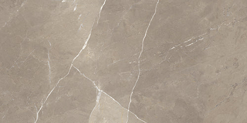 Superb Marble Pietra Taupe Porcelain Tile tile face, 600 x 300 mm