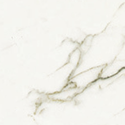 Euromarmo Statuario Venato Porcelain Tile tile face, 300 x 300 mm
