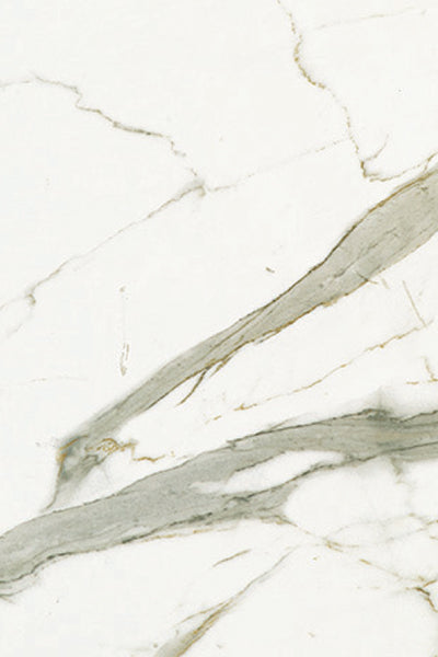 Euromarmo Statuario Venato Porcelain Tile tile face, 900 x 600 mm