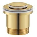 Shiny Gold