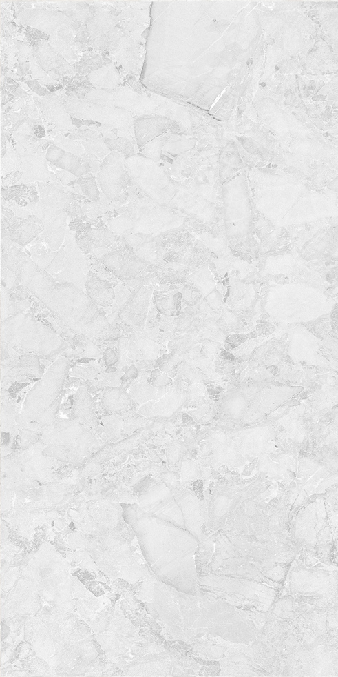 CloudyBay Blanco Porcelain Tile tile face, 1200 x 600 mm
