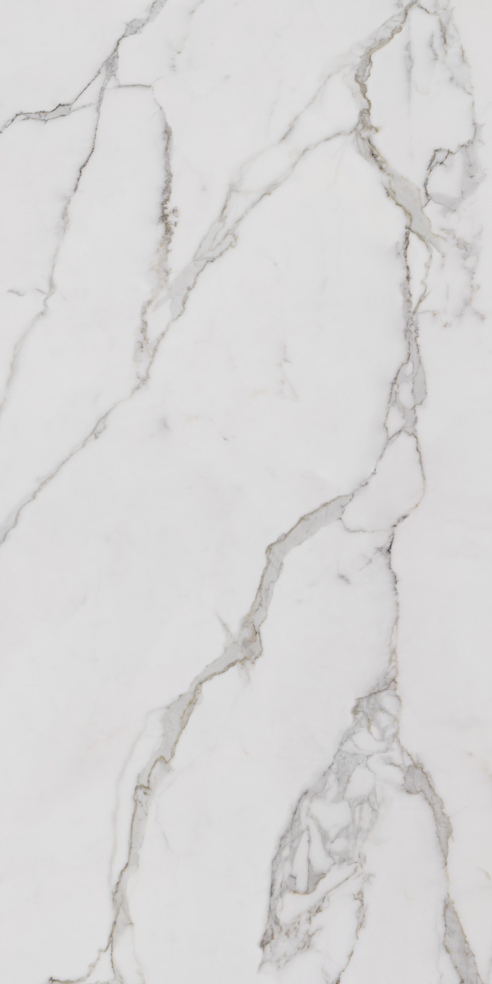 Calacatta Gold Porcelain Slab 6 mm tile face, 3200 x 1600 mm