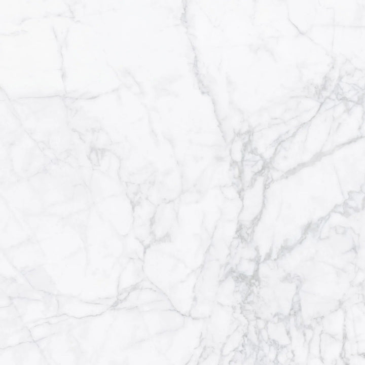 Carrara Stone White Porcelain Tile tile face
