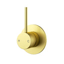 Brushed Gold