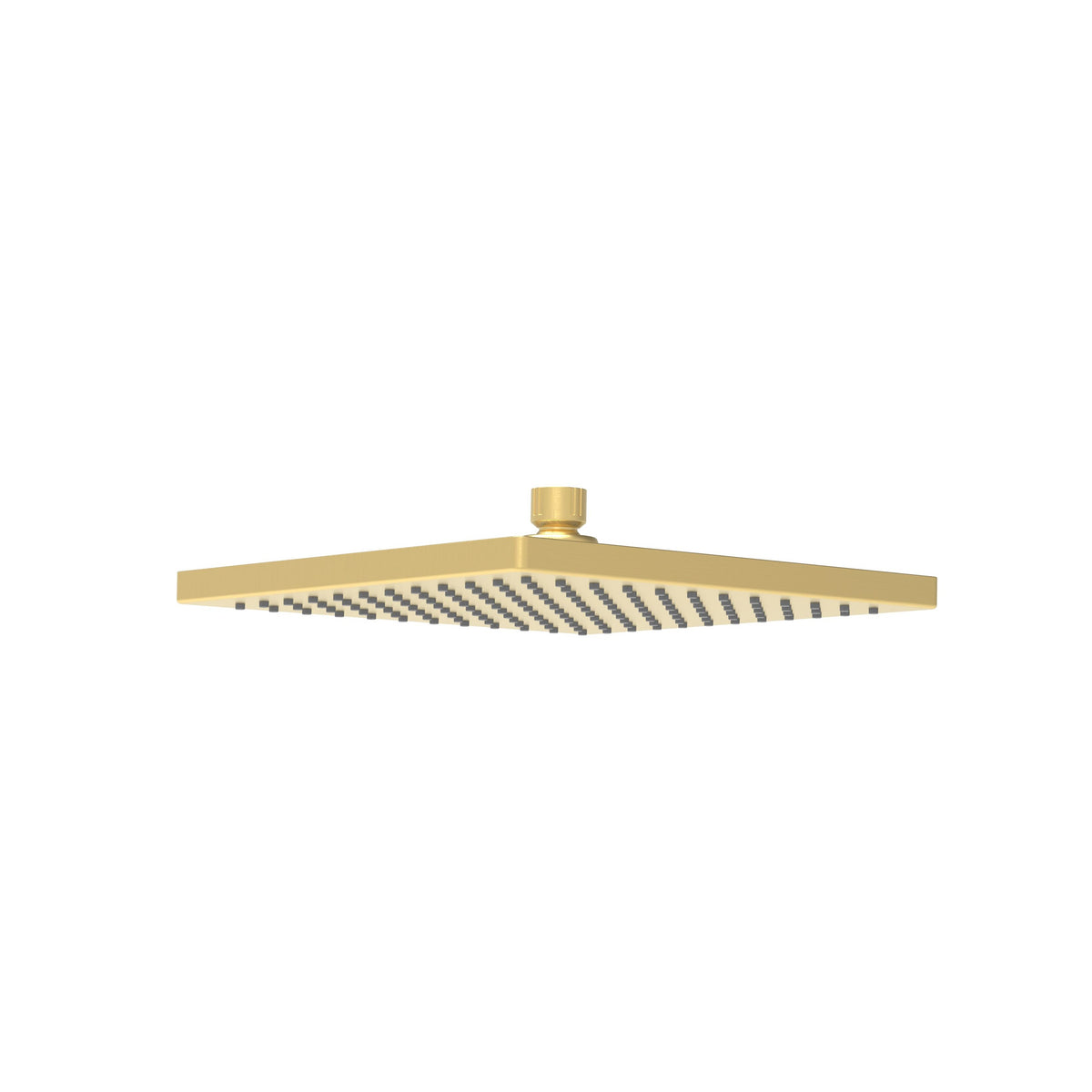 Rosa Shower Head Square 250mm - Brushed Gold