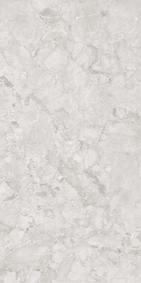 CloudyBay Gris Porcelain Tile tile face, 1200 x 600 mm