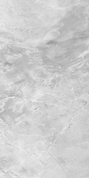 Lunar Grey Marble Tile tile face, 600 x 300 mm