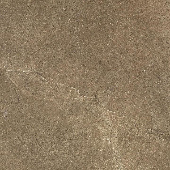Magic Stone Brown Porcelain Tile tile face