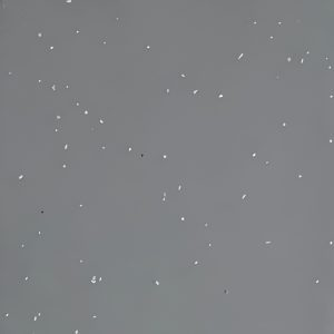 Ash Grey speckled