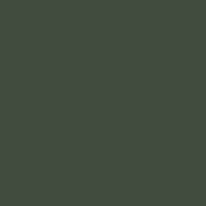 Forest Fern solid