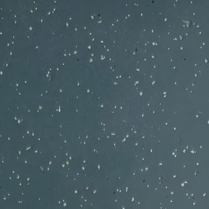 Ocean Spray speckled