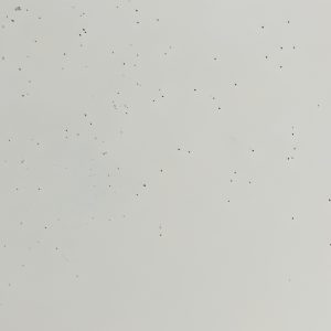 Pebble speckled