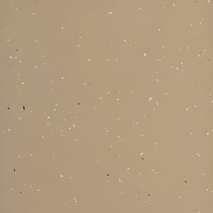 Sandstone speckled