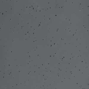 Storm Grey speckled