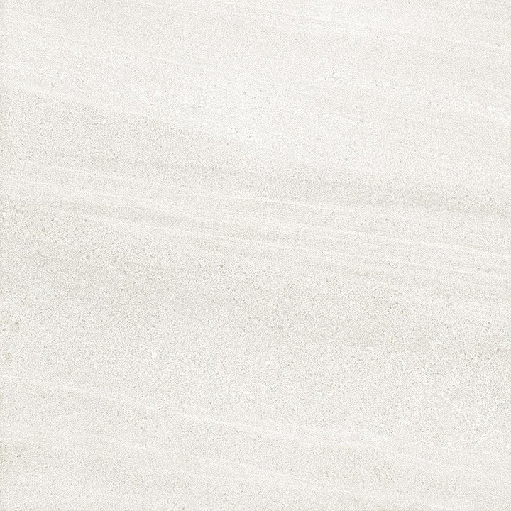 Shell White Porcelain Tile tile face