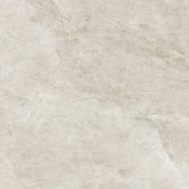 Taj Mahal White Porcelain Tile tile face