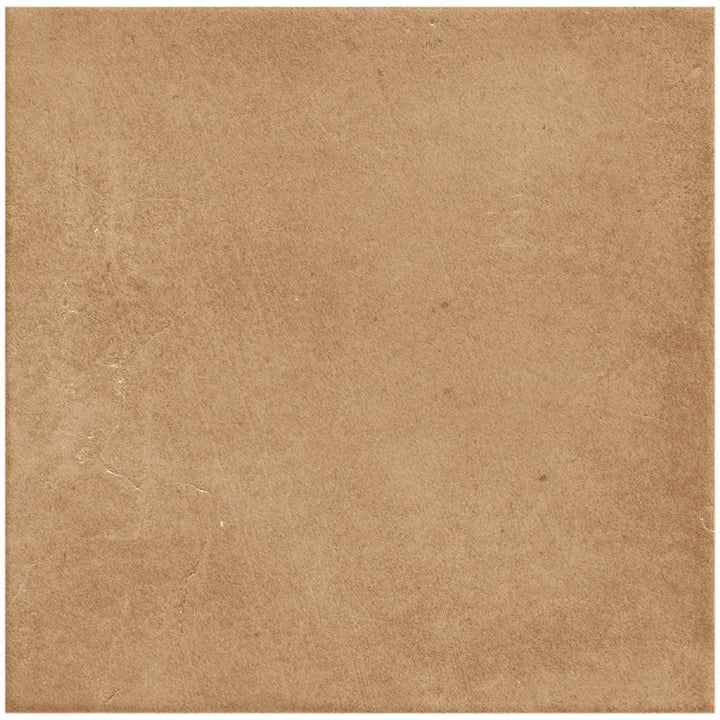 Terracotta Earth Porcelain Tile tile face