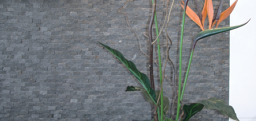 Bluestone Mosaics feature image