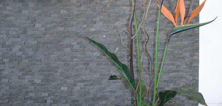 Bluestone Mosaics feature image