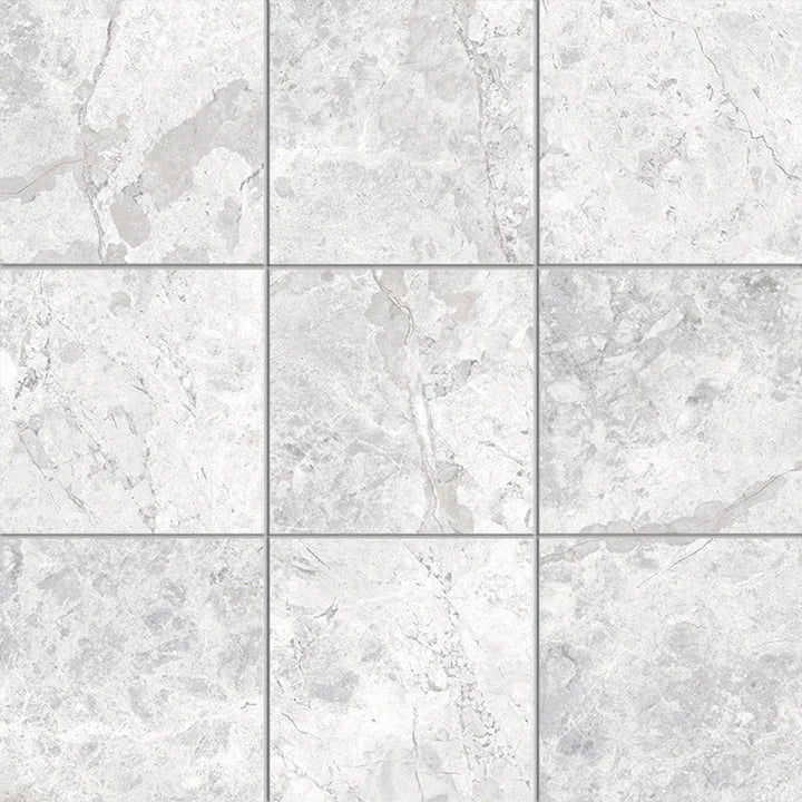 Tundra White Porcelain Tile tile face