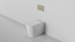 Java Toilet With Round Flush Buttons